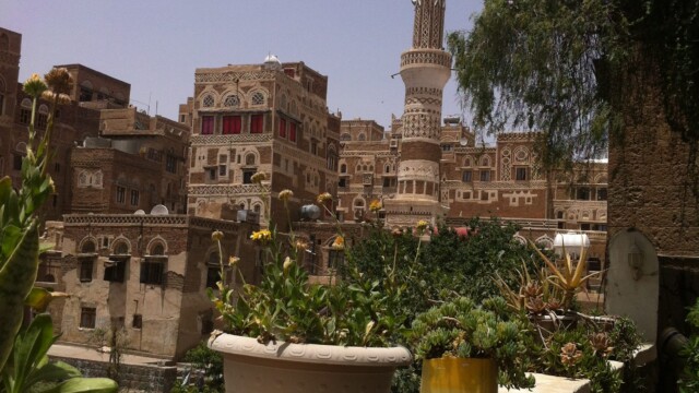 المشاقر .. أشجار عطرية على شرفات المنازل