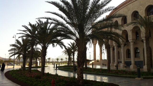 جانب من جامع الصالح